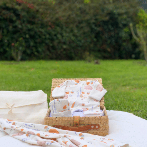 Primera Muda Clásica - Enterizo Abejas y Miel